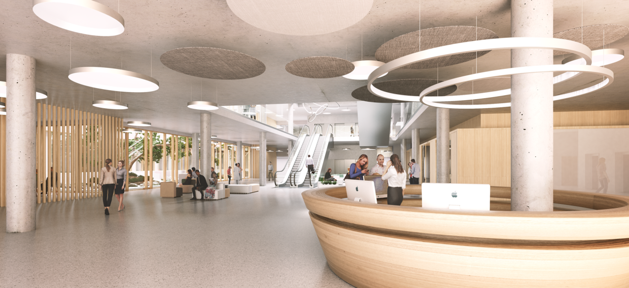 Entrance hall of a sophisticated hospital with modern lighting and natural material.