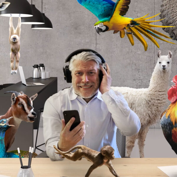 Man trying to work on his desk while he is surrounded by animals making noise.